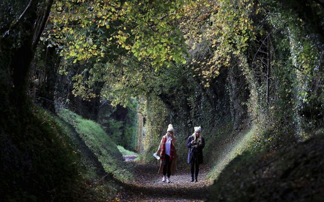 Los colores del otoño invaden las escenas diarias en los parques de Londres