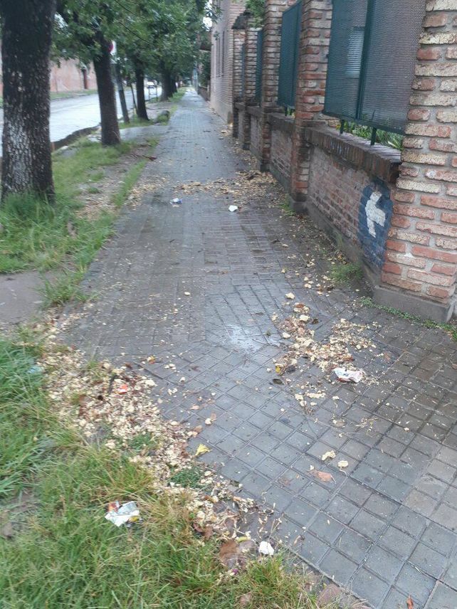 Sorpresa y malestar: apareció grasa en descomposición en las bocas de tormenta