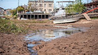 La crisis hídrica es una realidad de la biodiversidad en riesgo.