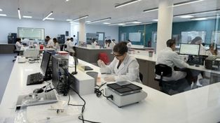 Suspensión de ensayos: los síntomas no se deberían a la vacuna de Oxford