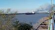 Incendios en las islas: intentan combatir un nuevo foco frente a Rosario