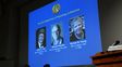 Tres científicos ganaron el Nobel de Medicina por descubrimientos sobre el reloj biológico