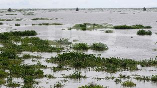 Baja el río Paraná pero siguen evacuadas 1.721 personas