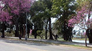 Cuándo comienza realmente la primavera