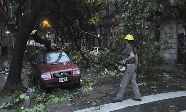 Distintas localidades de Buenos Aires sufrieron daños por el temporal.