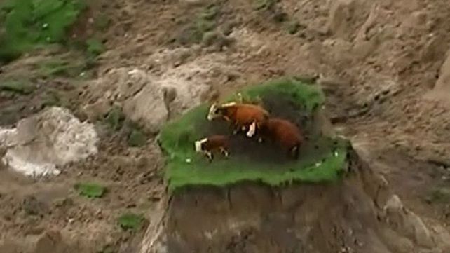 Se salvaron del terremoto al quedar en el único lugar que no se derrumbó