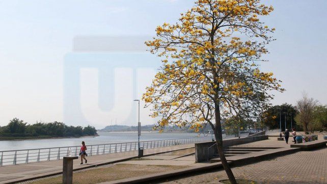 Entre Ríos: lunes con mínimas de 11° y nubosidad variable Entre Ríos: lunes con mínimas de 11° y nubosidad variable