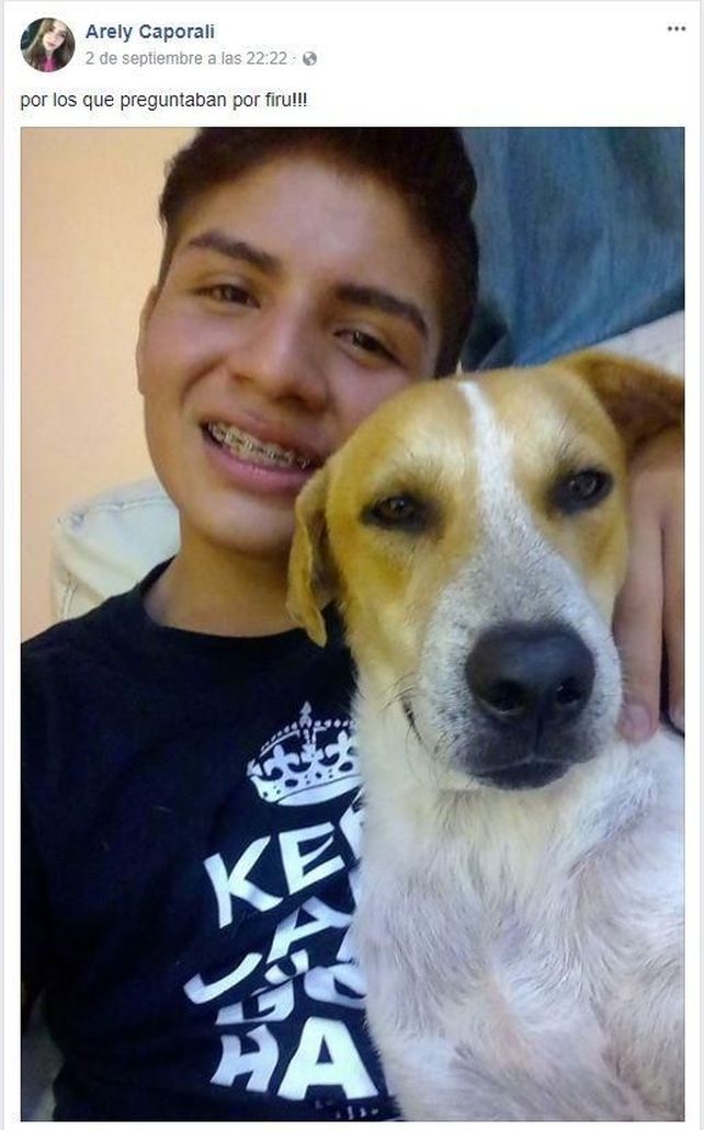 Salía borracho de un boliche, adoptó un perrito callejero y se volvió viral