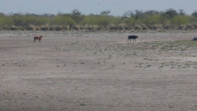 Sequía: luego de abril