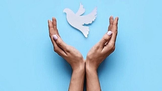 El Papa. Francisco busca con la 56º Jornada Mundial de Oración por la Paz promover acciones pacíficas que pongan fin a los conflictos y guerras que siguen generando víctimas y pobreza.