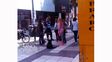 perritos callejeros provocaron una fuerte discusion en la peatonal perritos callejeros provocaron una fuerte discusion en la peatonal