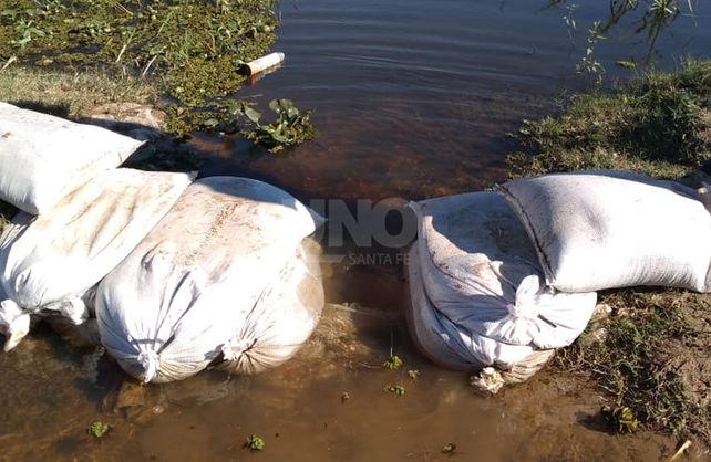 Las bolsas fueron colocadas por los vecinos y el municipio el fin de semana.&nbsp;