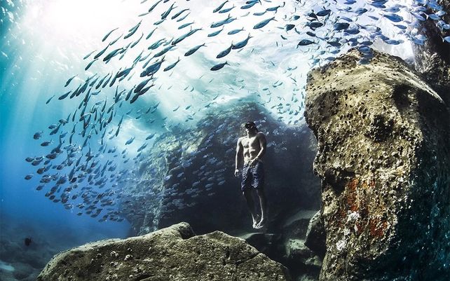 “Andre Fajardo Freediving Early One Summer Morning” por Christa Funk (Estados Unidos)
