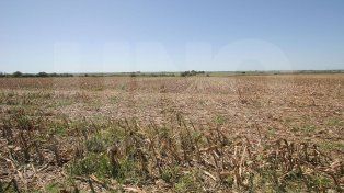 El Servicio Meteorológico Nacional (SMN) indica para este domingo 5 grados de mínima y 18 de máxima. Habrá un aumento de temperaturas hacia el fin de semana.&nbsp; &nbsp; &nbsp; &nbsp; &nbsp; &nbsp; &nbsp; &nbsp; &nbsp; &nbsp; 