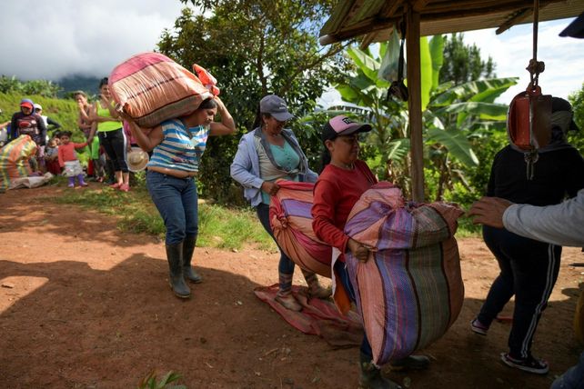 El cultivo de coca supone el negocio más rentable para decenas de familias de la región andina colombiana