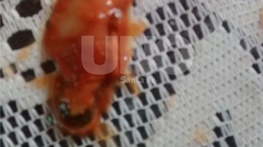 La Assal confirmó que lo encontrado en el puré de tomates no era un dedo