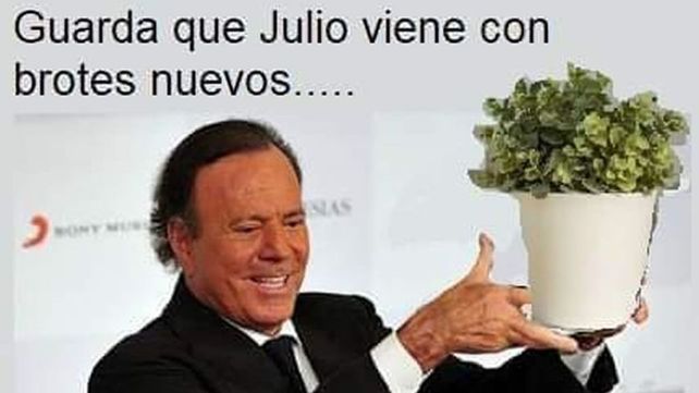 Arrancó julio y la ya tradicional catarata de memes del cantante español Julio Iglesias