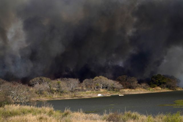 Miles de hectáreas bajo fuego. El ecocidio arrasó con la flora y fauna autóctona del Delta del Paraná,
