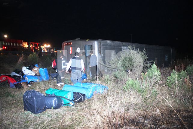 Una combinación peligrosa: falta de luz y animales sueltos en la ruta