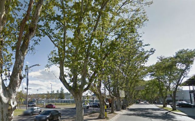 Más tarde se comprobó que los jóvenes