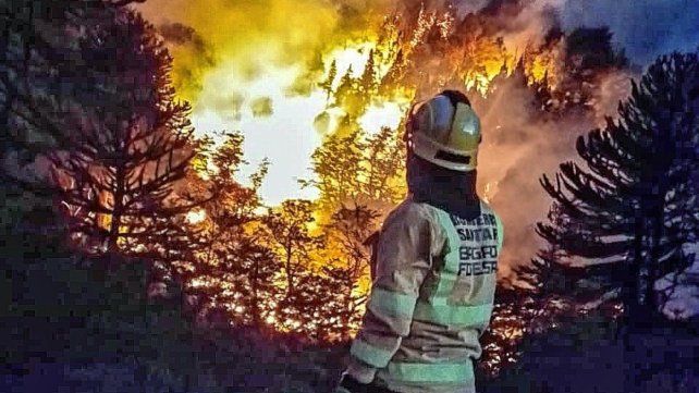 Incendios en Neuquén.