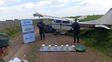 Cayó una avioneta cargada con cocaína en Arequito: Gendarmería custodia la aeronave e investigan el origen del vuelo