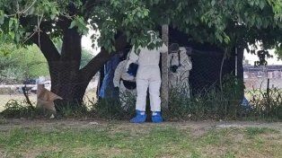 Tucumán: estaba denunciado por abusar de su nieta y lo encontraron muerto