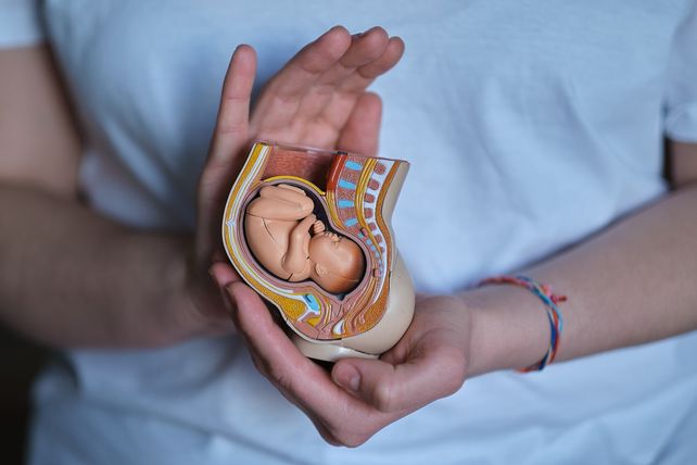 Cirugía fetal