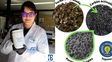 Yerba mate para almacenar energía