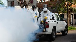 Dengue: la municipalidad fumigó en la zona noroeste de Rosario