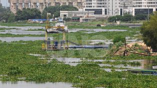 Buzos tácticos trabajaron en la remoción de camalotes en la toma de ASSA