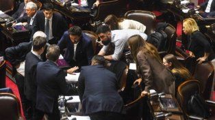 Legisladores anticiparon que el trámite va a ser largo