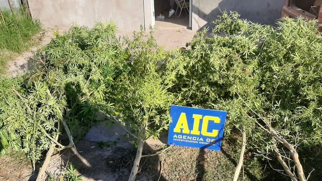 Los elementos secuestrados en los allanamientos por la balacera en el encuentro Colón Peñarol que terminó con barras detenidos&nbsp;