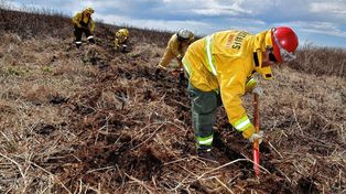 Habilitan a realizar cortafuegos para prevenir incendios en el delta del Paraná