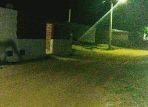 Una extraña criatura trajo pánico entre los habitantes de una ciudad santafesina