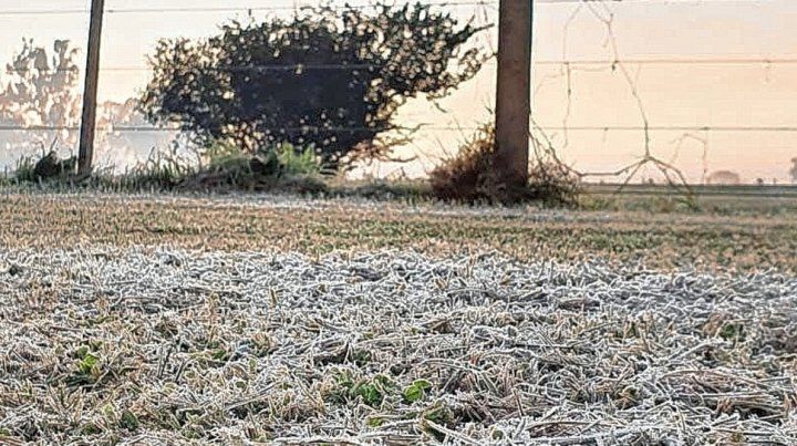 El frío intenso se hace sentir este jueves en Entre Ríos. Imágenes de las primeras heladas del año.