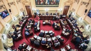 Diputados pidieron informes a la provincia por incompatibilidades del titular de la API