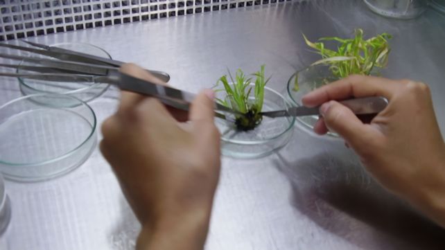 Innovación. Cuba promocionó una red de biofábricas conformada por 16 unidades distribuidas en el país.