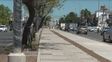 Avanza la remodelación de la avenida Aristóbulo del Valle: la obra alcanza un 35% de ejecución