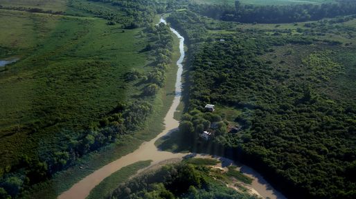 Ley de tierras: advierten sobre un plan de remate de la Argentina