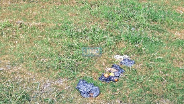 Descubren aparentes ritos umbandas con animales muertos
