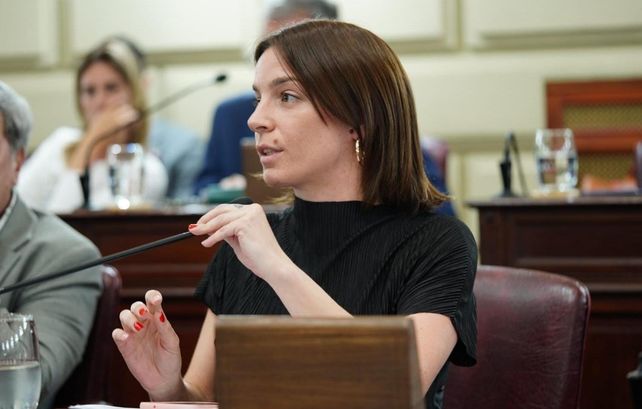 La diputada Lucila De Ponti publicó una encuesta del transporte interurbano