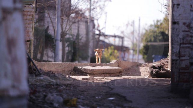 Vecinos de Antártida Argentina