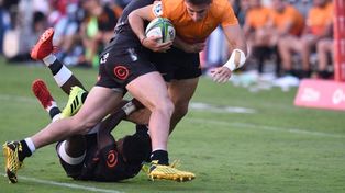 Jaguares jugar&aacute; sin p&uacute;blico en el Jos&eacute; Amalfitani.&nbsp;
