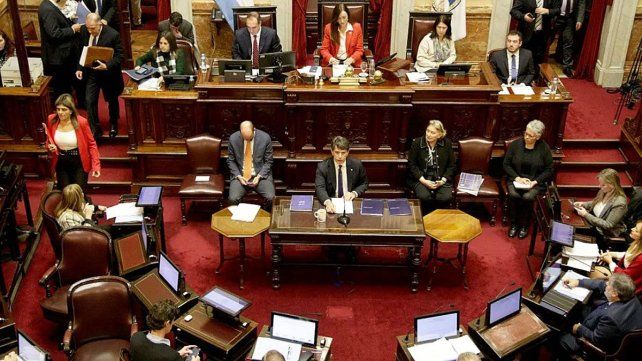Senado: Nicolás Posse presenta su primer informe