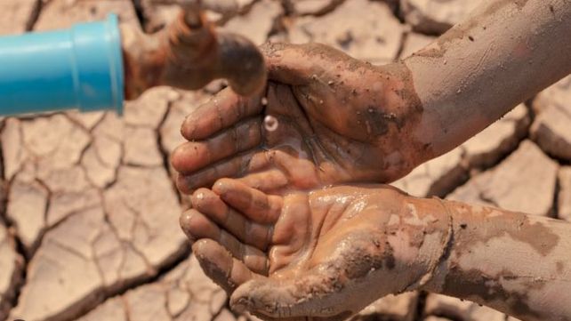 La crisis climática impacta de manera directa a nivel global y local.