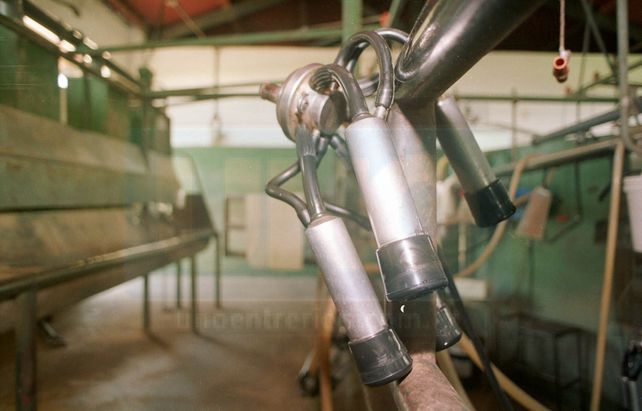 Se duplicó la demanda de la leche suelta, aunque su consumo está desaconsejado