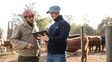 Veterinarios, el motor del éxito de la producción ganadera en Argentina