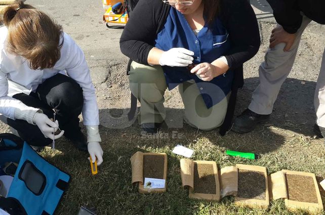 Secuestraron más de dos toneladas de marihuana a la altura de la Autopista Santa Fe - Rosario