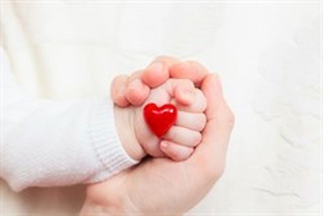 Santa Fe será sede del XIII Simposio Argentino de Cardiología Fetal